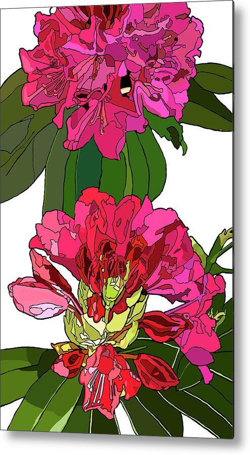 Rhododendron Metal Print featuring the painting Two Rhododendrons by Jamie Downs