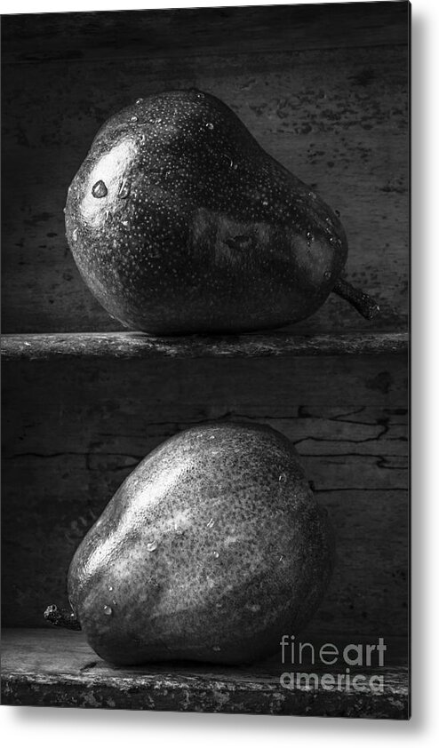 Fruit Metal Print featuring the photograph Two Ripe Pears in Black and White by Edward Fielding