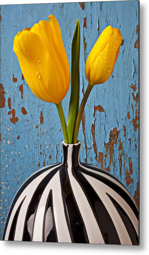 Two Yellow Metal Print featuring the photograph Two Yellow Tulips by Garry Gay