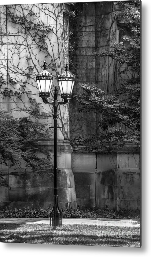 Chicago Metal Print featuring the photograph University of Chicago Hall Garden by University Icons