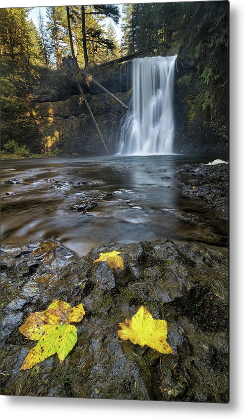 Upper North Falls Metal Print featuring the photograph Upper North Falls in Autumn by David Gn