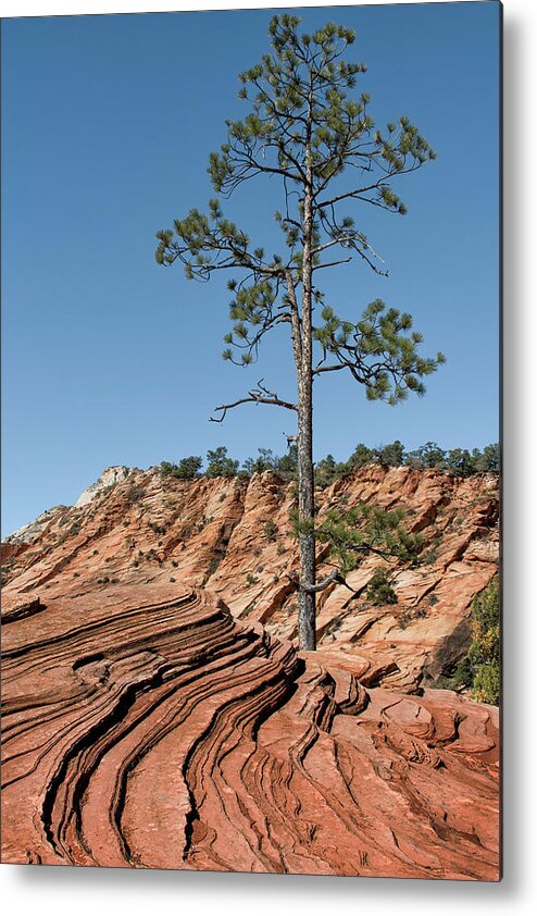 Utah Metal Print featuring the photograph Utah Landscape by Phil Cardamone