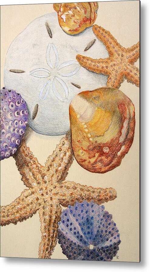 Shells Metal Print featuring the drawing Vertical Starfish by Glenda Zuckerman