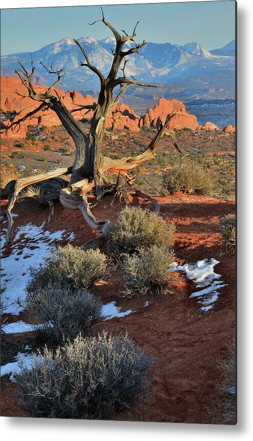 Arches National Park Metal Print featuring the photograph View along Park Road in Arches National Park by Ray Mathis