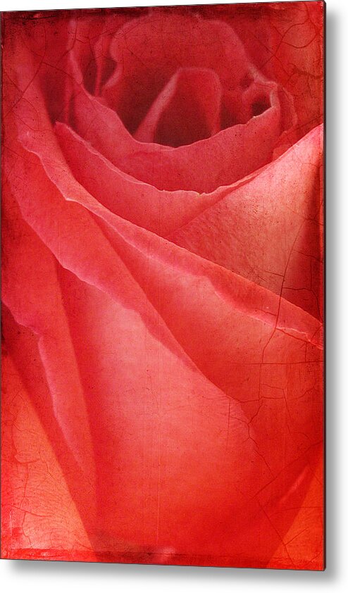 Rose Metal Print featuring the photograph Vintage Rose by Cathy Kovarik