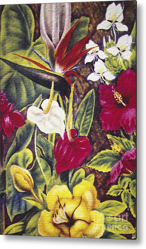 1940 Metal Print featuring the painting Vintage Tropical Flowers by Hawaiian Legacy Archive - Printscapes