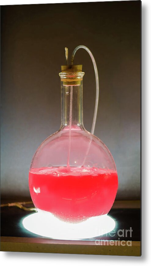 Acid Metal Print featuring the photograph Volumetric flask with pink liquid chemical experiment by Sasha Samardzija