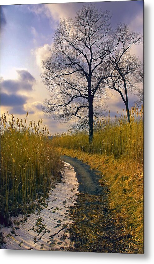 Walk Metal Print featuring the photograph Walk with me by John Rivera