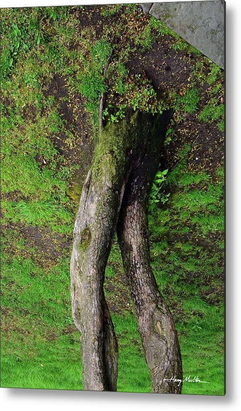 Abstract Metal Print featuring the photograph Walking Tree by Harry Moulton