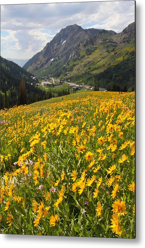 Landscape Metal Print featuring the photograph Wasatch Wildflowers by Brett Pelletier