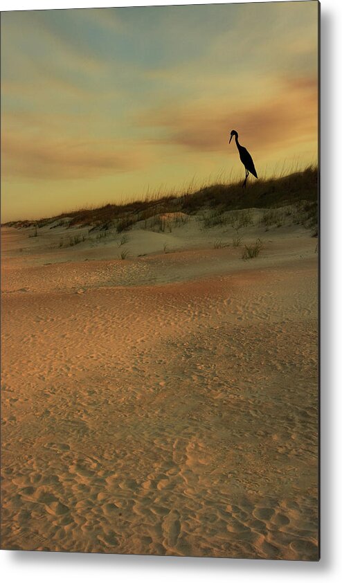 Sand Metal Print featuring the photograph Watcher on the Dunes by Mitch Spence