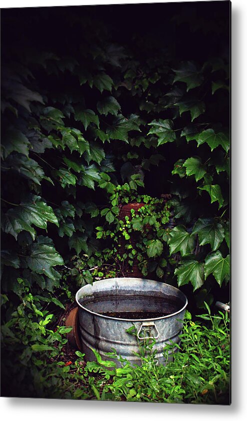 Water Metal Print featuring the photograph Water Bearer by Jessica Brawley