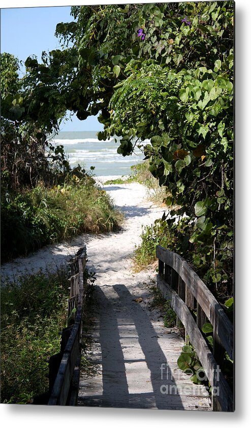 Beach Metal Print featuring the photograph Way To The Beach by Christiane Schulze Art And Photography