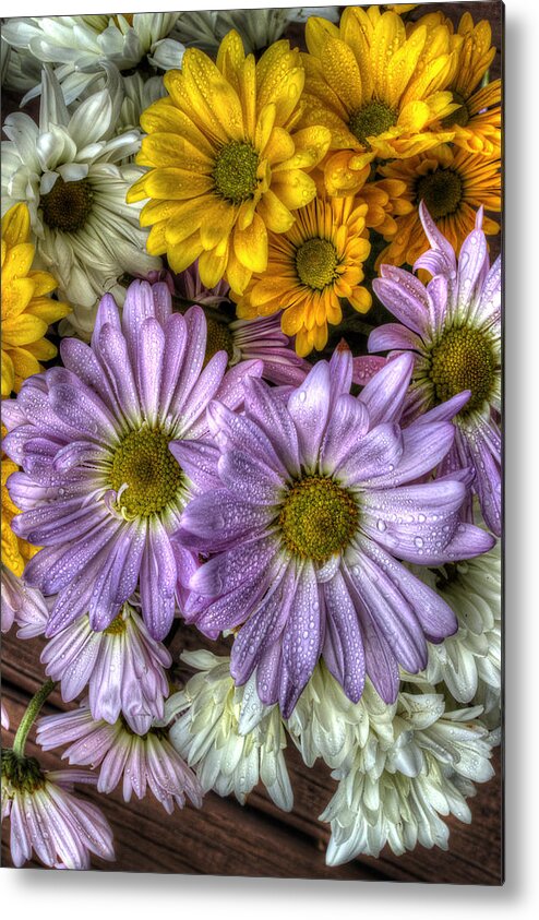 Daisies Metal Print featuring the photograph We Need To Be Together by Mike Eingle