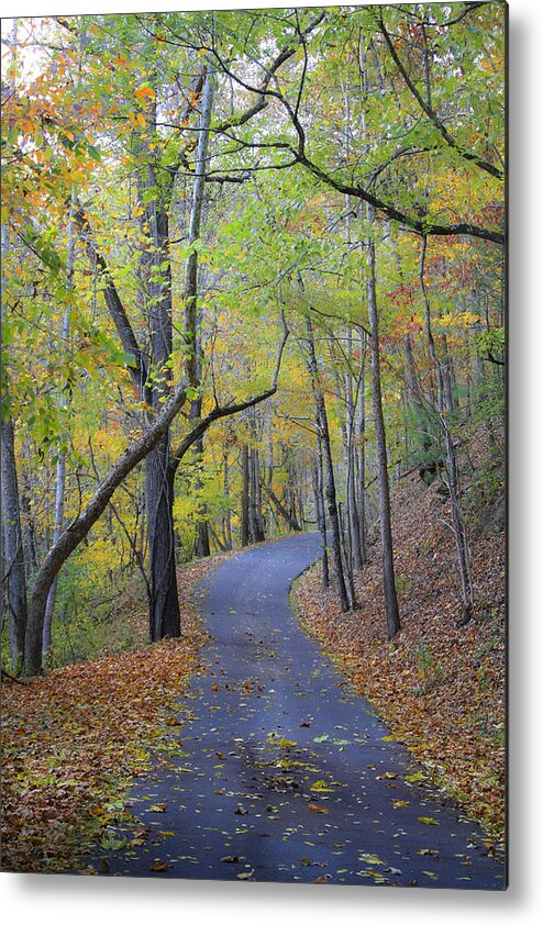Fall Metal Print featuring the photograph West Virginia Fall Scene by Teresa Mucha