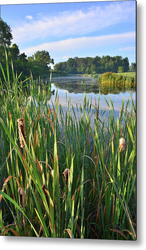 Volo Bog Natural Area Metal Print featuring the photograph Wetland along Sullivan Lake Road by Ray Mathis