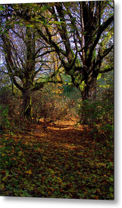 Photo Metal Print featuring the photograph Wetlands in the Fall by David Patterson