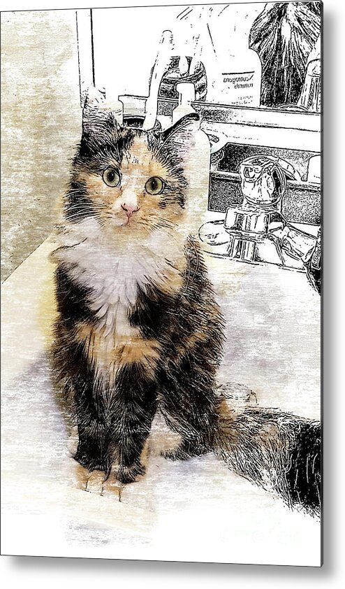 Cat Metal Print featuring the digital art What are you doin? by Deb Nakano