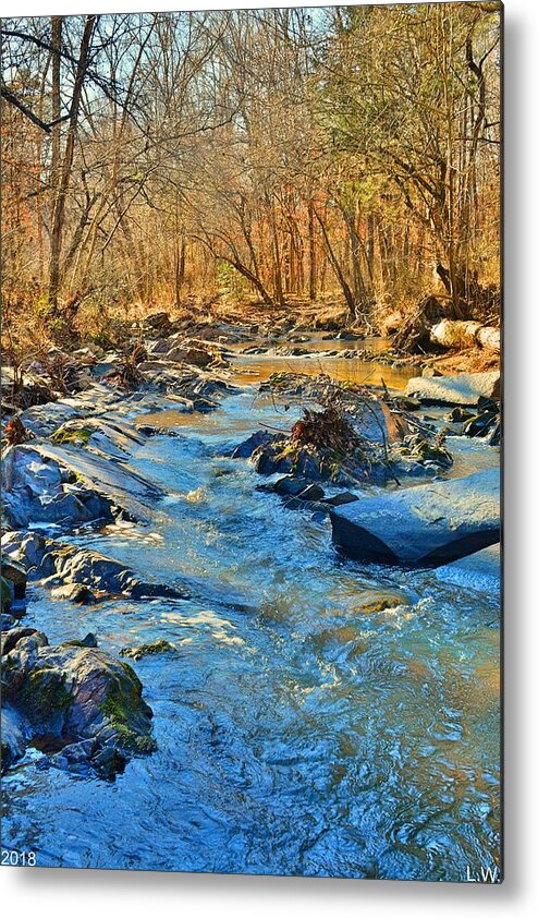 What Streams Are Made Of Metal Print featuring the photograph What Streams Are Made Of by Lisa Wooten