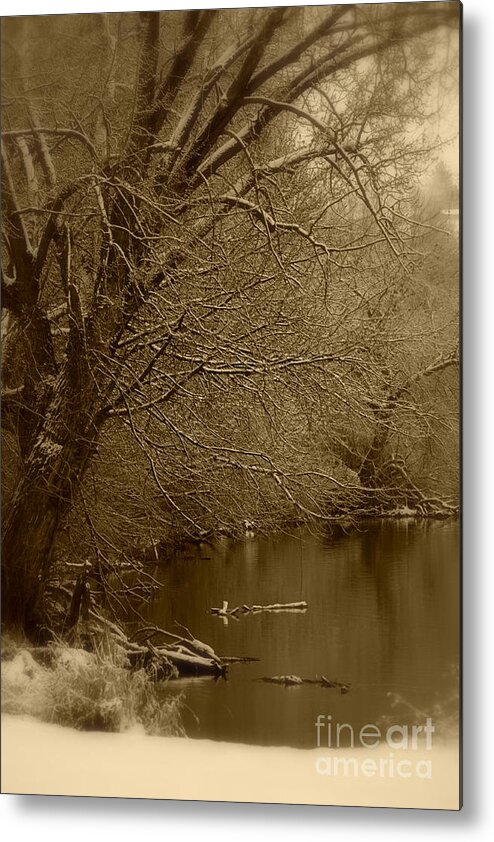 Winter Metal Print featuring the photograph Where the Otters Play by Carol Groenen