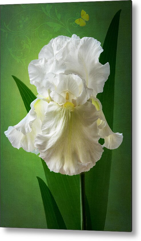 White Iris Metal Print featuring the photograph White Crown by Marina Kojukhova