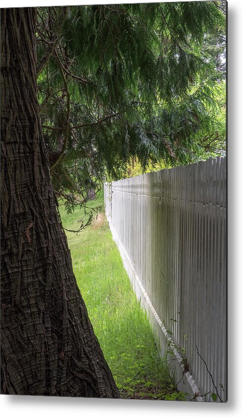 Oregon Coast Metal Print featuring the photograph White Fence And Tree by Tom Singleton