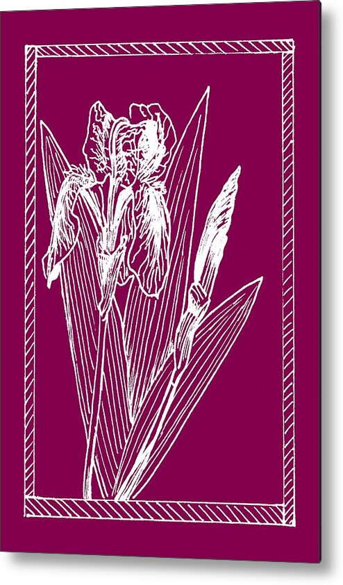 Plant Metal Print featuring the drawing White Iris on Transparent Background by Masha Batkova