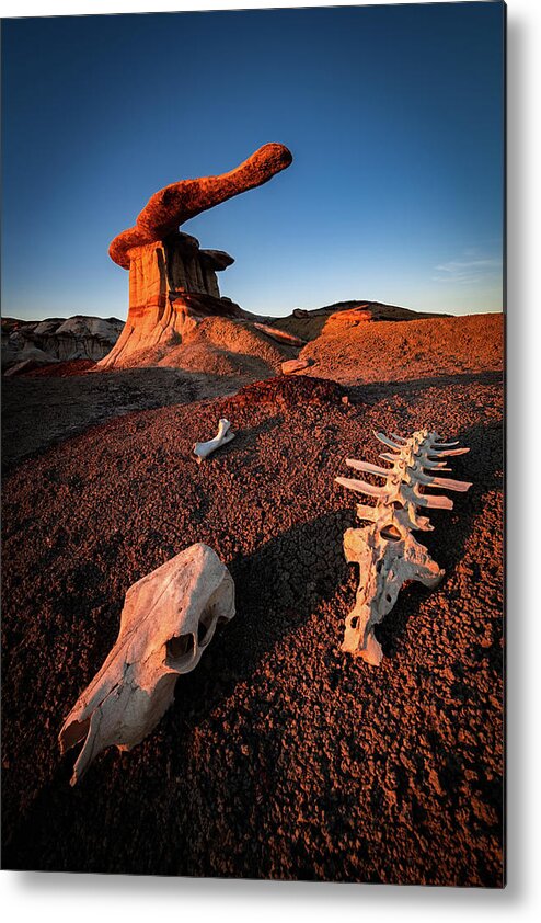 Amaizing Metal Print featuring the photograph Wild Wild West by Edgars Erglis