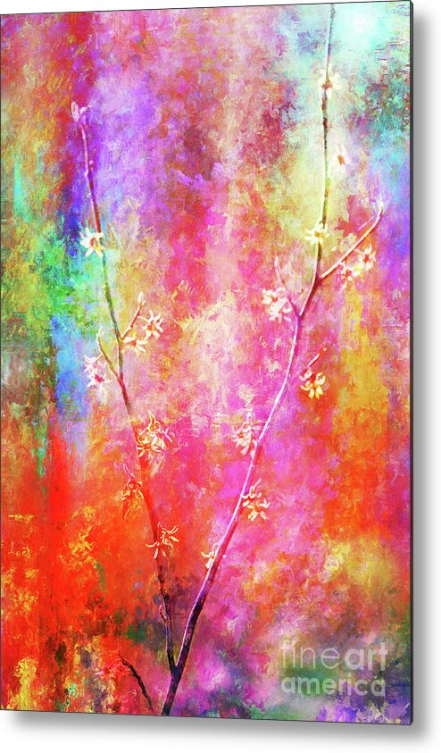 Abstract Metal Print featuring the photograph Wild, Wild, Witch Hazel by Anita Pollak