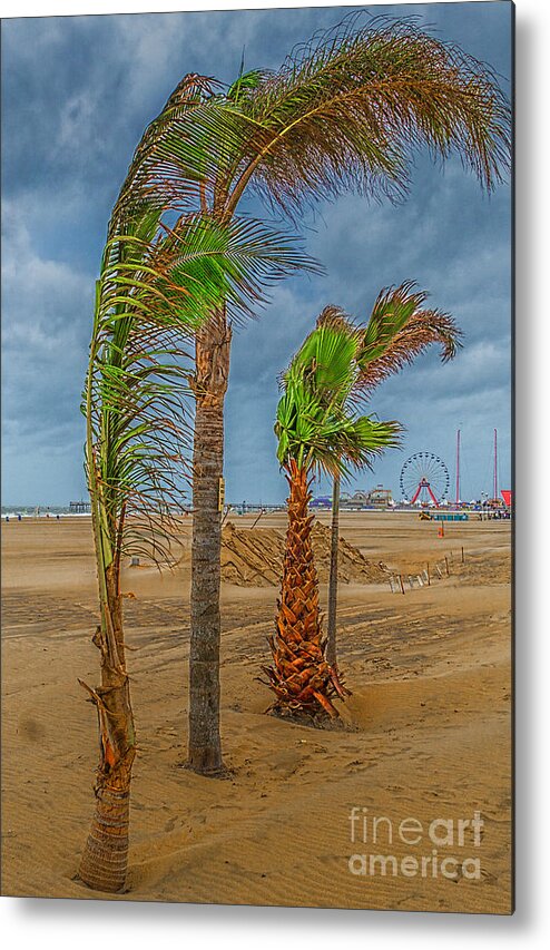 Ocean City Metal Print featuring the photograph Windy beach by Izet Kapetanovic