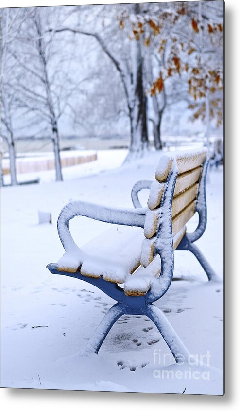 Winter Metal Print featuring the photograph Winter bench by Elena Elisseeva