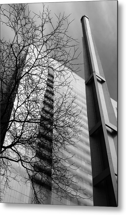 Architecture Metal Print featuring the photograph Winter Branches Against The Cold by Kreddible Trout