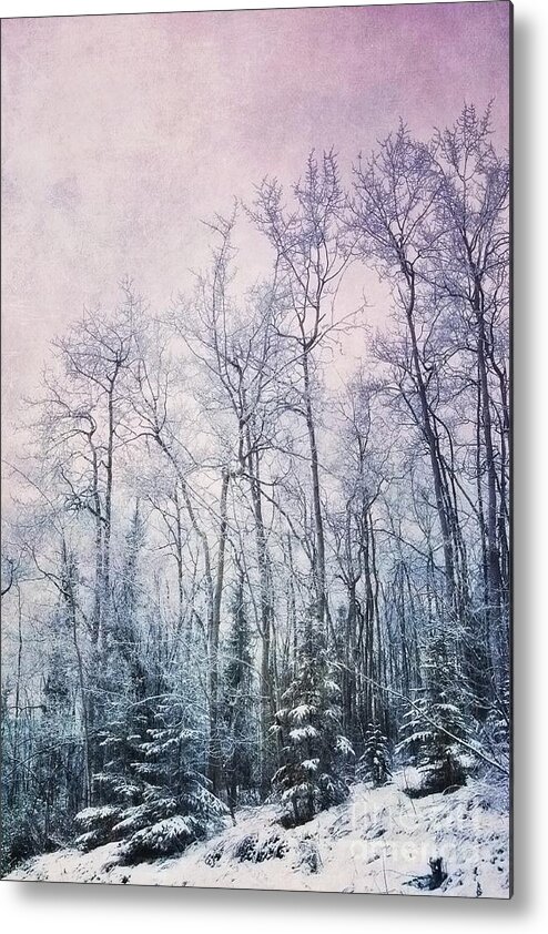 Forest Metal Print featuring the photograph Winter Forest by Priska Wettstein