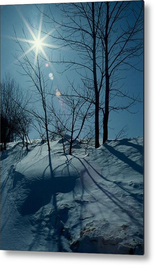 Winter Metal Print featuring the photograph Winter Glow by Raju Alagawadi