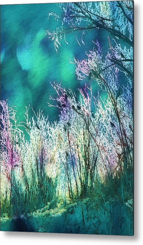 Winter Metal Print featuring the photograph Winter Lights by Kathy Bassett
