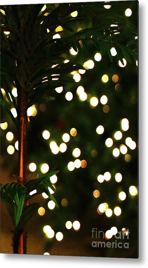 Winter Metal Print featuring the photograph Winter Palm by Linda Shafer