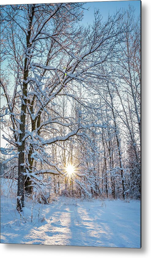 Bill Pevlor Metal Print featuring the photograph Winter Warm Spot by Bill Pevlor