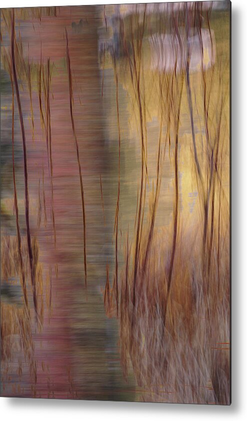 Abstract Metal Print featuring the photograph Winter Willows Abstract by Deborah Hughes