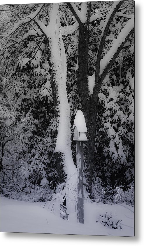 Winter Metal Print featuring the photograph Winter Wonderland by Teresa Mucha