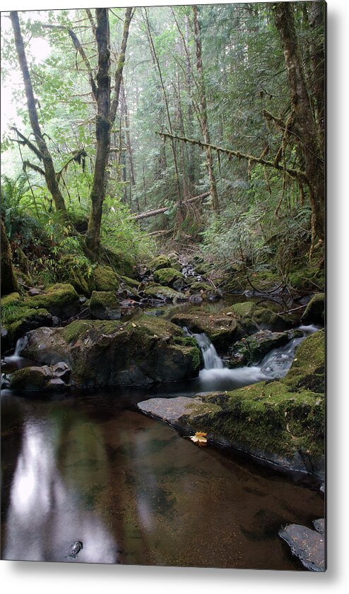 Nature Metal Print featuring the photograph Wonderful Wilson Creek by Ben Upham III