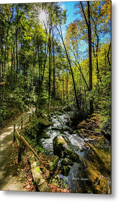 Sun Metal Print featuring the photograph Woodland Serenity by Dale R Carlson