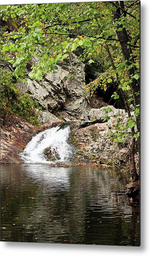 Woods Metal Print featuring the photograph Woodsy Flow by Kristin Elmquist