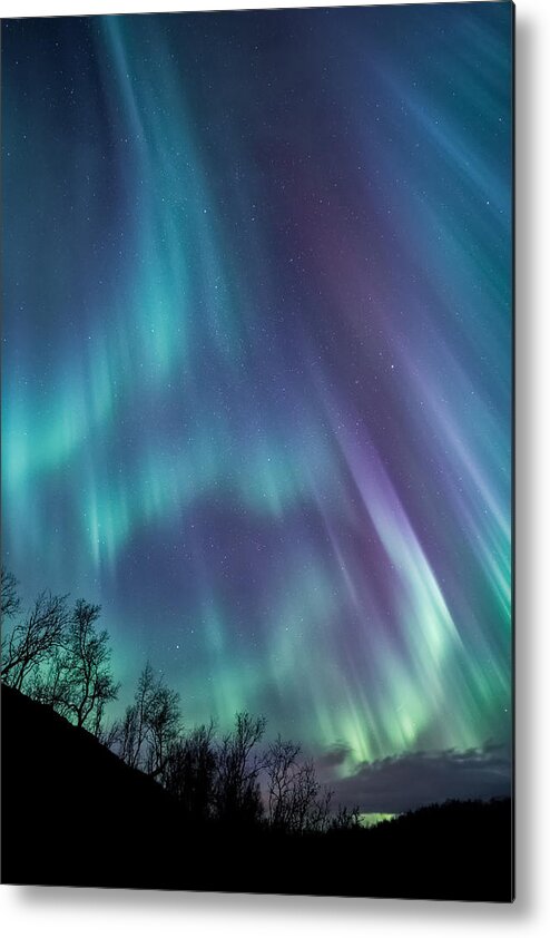 Worth Metal Print featuring the photograph Worth the wait by Tor-Ivar Naess
