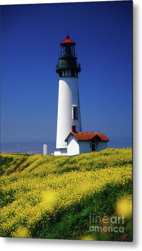 Images Metal Print featuring the photograph Yaquina Head Lighthouse by Rick Bures