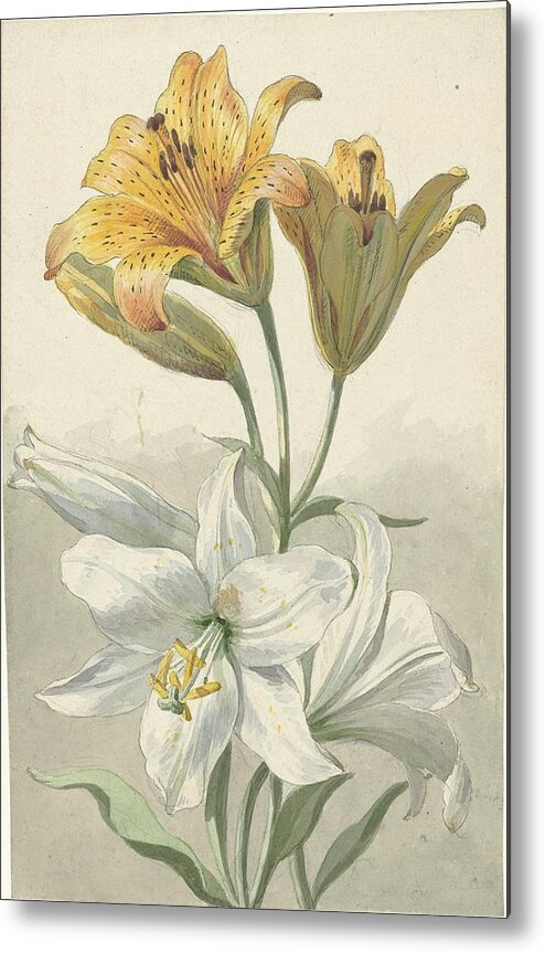 Yellow And White Lilies Metal Print featuring the painting Yellow and White Lilies by Willem van