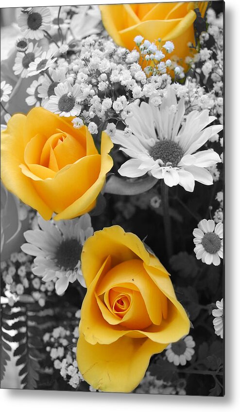 Rose Metal Print featuring the photograph Yellow Roses by Amy Fose