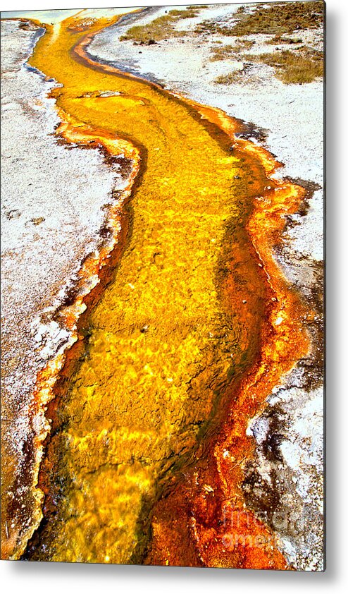 Yellowstone Metal Print featuring the photograph Yellowstone Stream by Adam Jewell