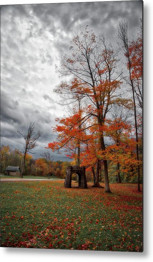 Chestnut Ridge County Park Metal Print featuring the photograph An Autumn Day At Chestnut Ridge Park #1 by Guy Whiteley
