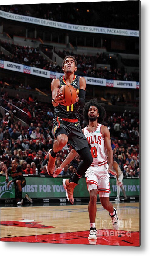 Trae Young Metal Print featuring the photograph Atlanta Hawks V Chicago Bulls #1 by Jeff Haynes