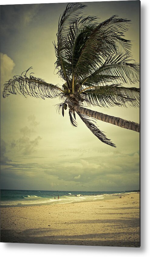 Latin America Metal Print featuring the photograph Beach In Mexico #1 by Thepalmer